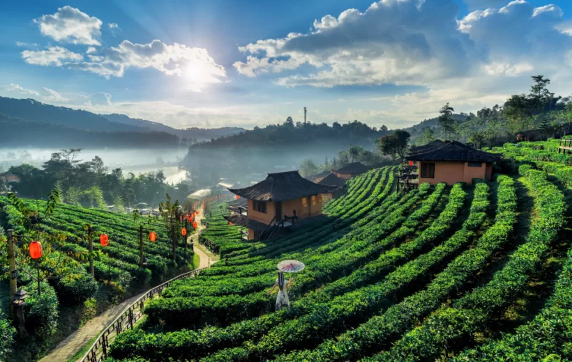03 Nights & 04 Days Gangtok, Kalimpong Tour Package