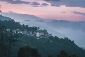 01 Nights & 02 Days Pelling Tour Package