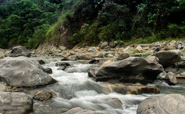 04 Nights & 05 Days Darjeeling, Gangtok Tour Package